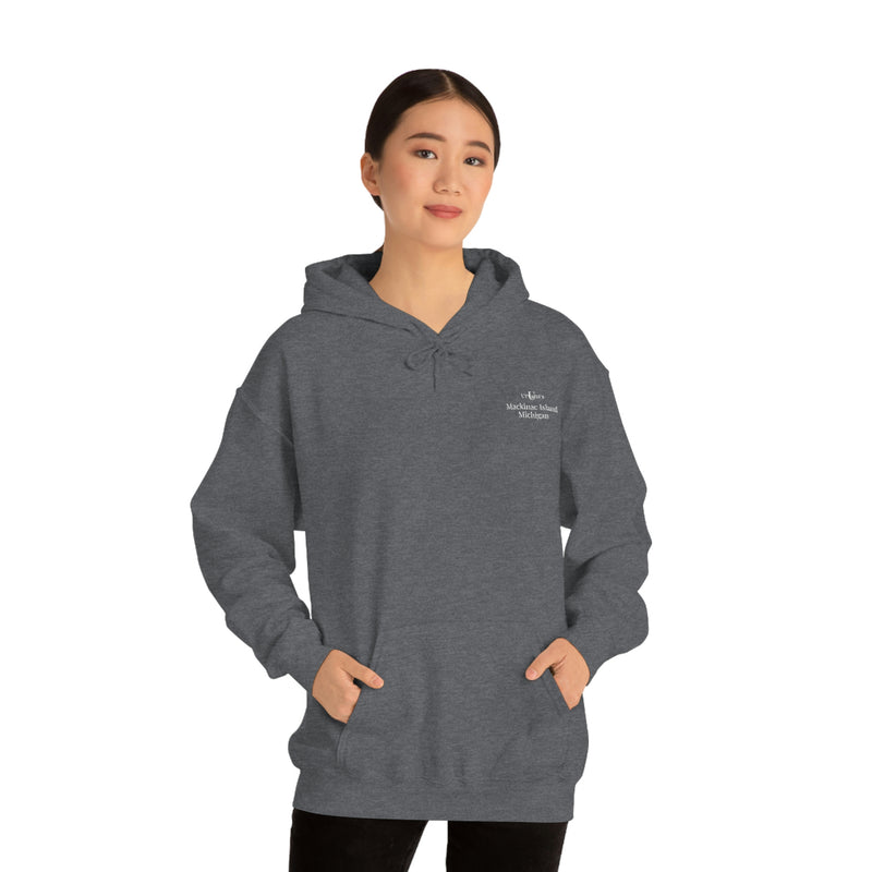 Mackinac, Unisex Heavy Blend™ Hooded Sweatshirt (only available online)
