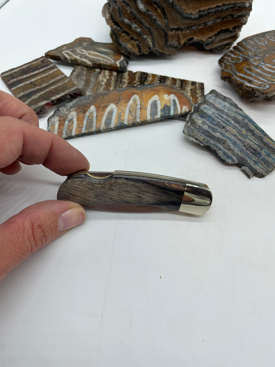 and Fossil-Handled Knives for “Old Rock Day” Stone handle knife photo