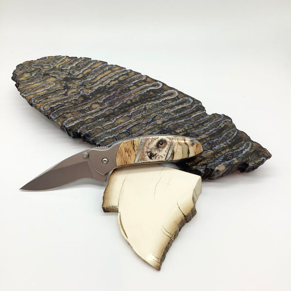 Scrimshaw Kershaw Chive knife