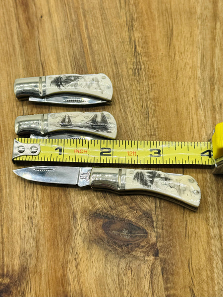 Small Bone Scrimshaw Lock Back Pocket knife