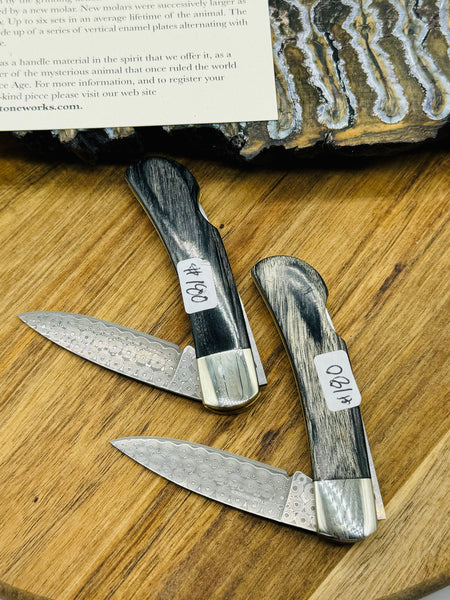 Mammoth Tooth Damascus Lock Back Pocket Knife (ONE SIDED tooth)