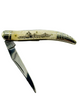 Limited Edition Scrimshaw Bone Toothpick Pocket knife
