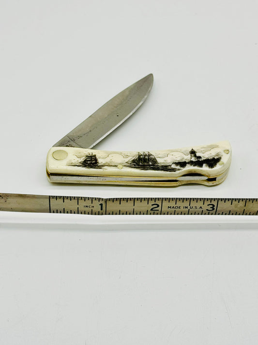 Ox Bone Scrimshaw  Pen Knife