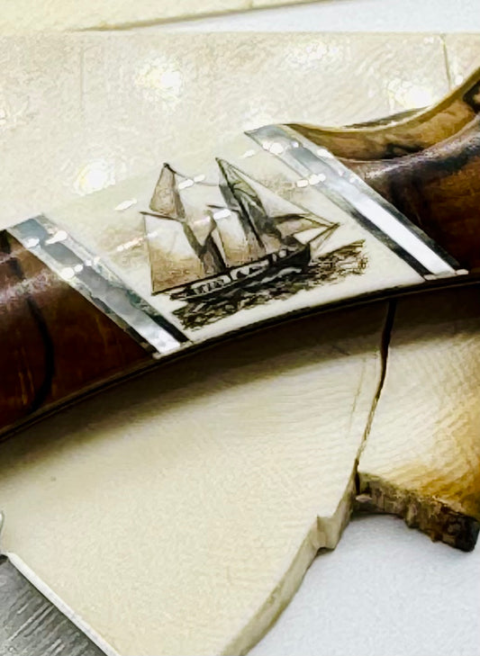 Scrimshaw Lock back Pocket knife
