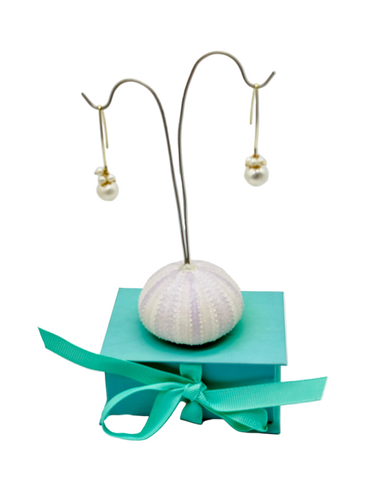 Gold Fill and Freshwater Pearl Earrings