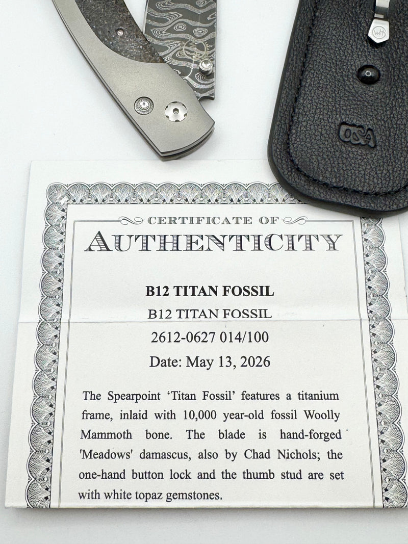 William Henry B12 Titan Fossil Mammoth Bone