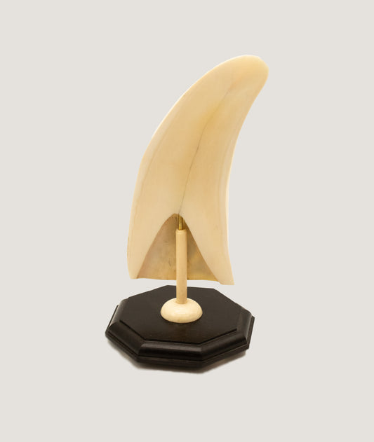 Scrimshaw Mermaid