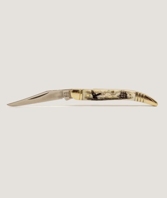 Bone Scrimshaw Double Blade Pocket knife