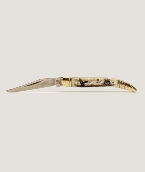 Bone Scrimshaw Double Blade Pocket knife