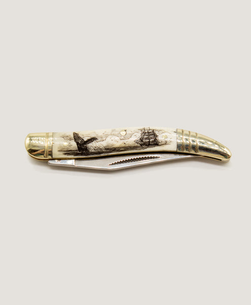 Bone Scrimshaw Double Blade Pocket knife