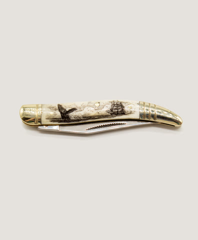 Bone Scrimshaw Double Blade Pocket knife
