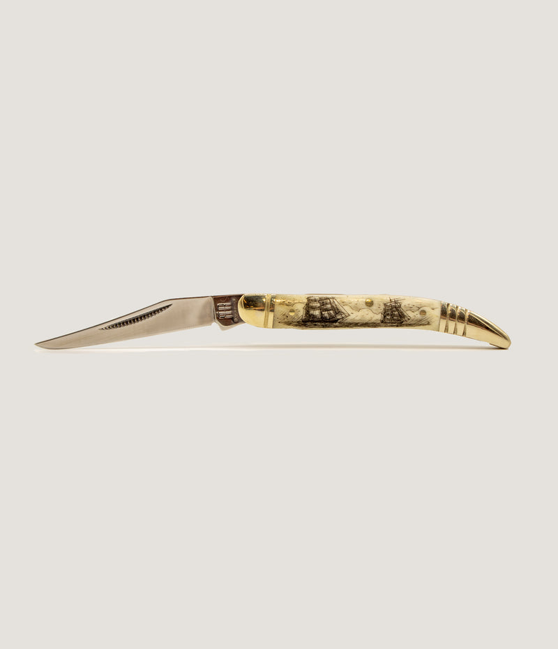 Bone Scrimshaw Toothpick Pocket knife
